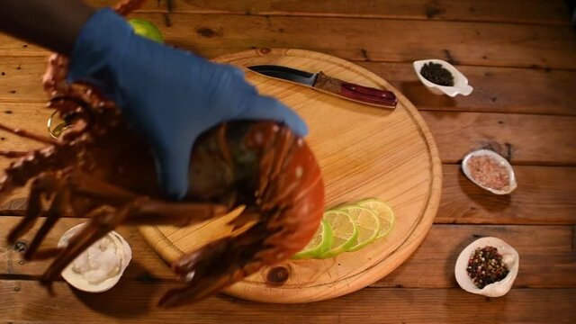 Person In Rubber Gloves  take off  cooking lobster panulirus argus