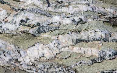 quartz veins in a rock