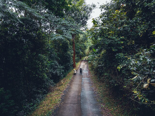 Road through a valley from above