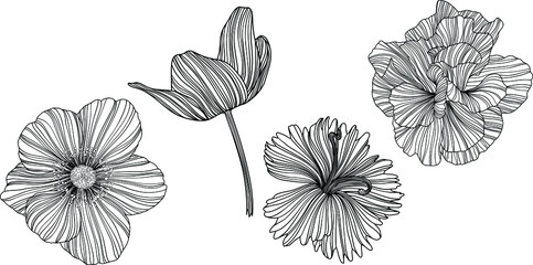 Illustration of abstact flowers. Line vector art. Eps10