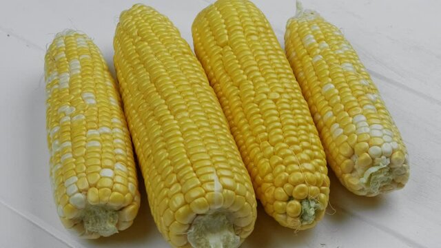 Macro View Yellow Grains Corn Cob Background Food Organic Close Up. Closeup Fresh Sweet Corn on Cob, Ingredient Prepare for Organic Food.