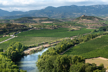 Ebro river with Davalillo castle as background, La Rioja, Spain