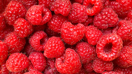 Texture background from a large number of raspberries.