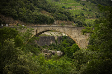 Fototapeta na wymiar big bridge on the town of tournon saint jean