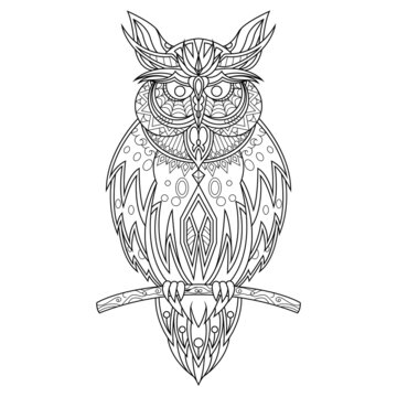 Owl Drawn in Doodle Style