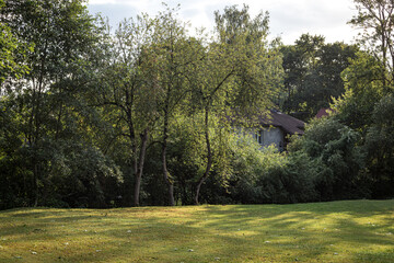 Obraz premium mowed lawn, shadows from trees, fragment of big house in forest, evening light in park