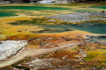Norris Geyser Basin in Yellowstone National Park, Wyoming, USA
