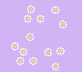 Fototapeta na wymiar daisies on white background