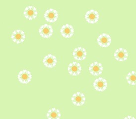 seamless pattern with camomiles 
