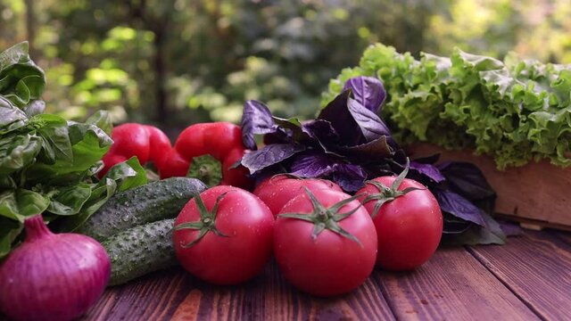 fresh farm vegetables on table in garden