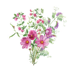 Fototapeta premium Bouquet with field mouse peas pink- vicia cracca, cosmea, viola, flowers. Watercolor hand drawn painting illustration isolated on white background