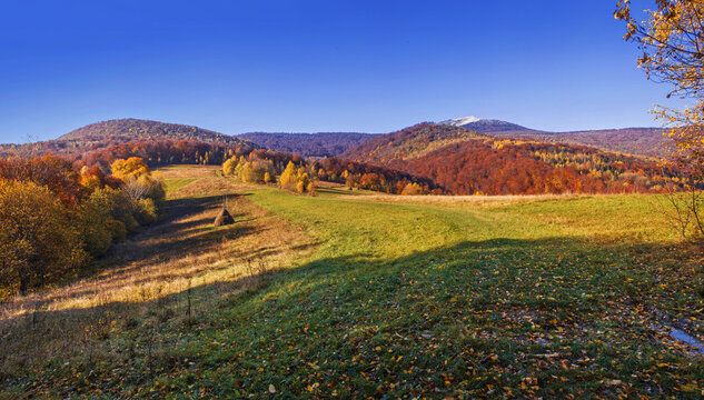 Pikui Bilder Durchsuchen 625 Archivfotos, und Videos