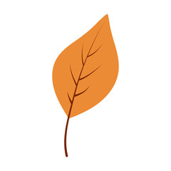 Autumn orange leaf
