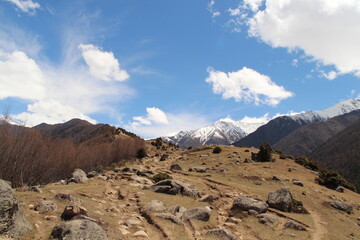 landscape in the himalayas in summer