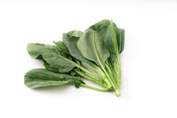 Chinese Broccoli isolated on white background