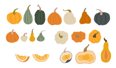 Big set of hand-drawn colorful pumpkins, pieces and parts, view from above. Flat organic style. Pretty and cute autumn and Halloween decorations. Isolated on white background.