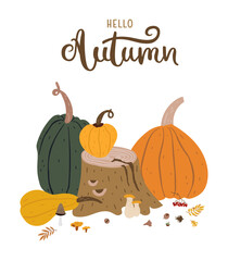 Flat autumn decoration with tree stump, pumpkins, mushrooms, rowan leaves and berries. With brush lettering - hello Autumn. Pretty illustration for card, postcard, sticker, etc. Isolated on white. 