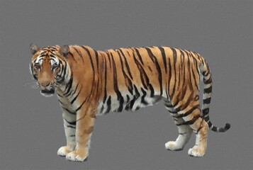 Tiger side view. Colorful illustration. Oil Painting.