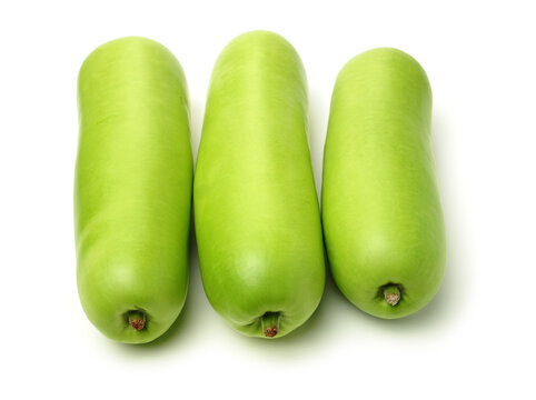 Cucuzza Images Browse 218 Stock Photos, Vectors, and Video Adobe Stock