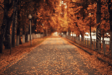alley in autumn park landscape, fall yellow road seasonal landscape in october in the city