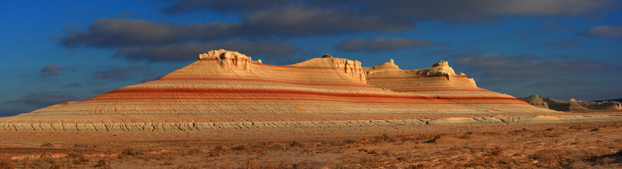 Western Kazakhstan. Ustyurt plateau. Remains near Mount Bokty.