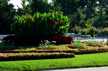 ornamental flowerbed in front of the castle on the ground floor. The planting of annuals is in the...
