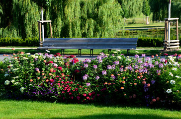 annual flowerbed in a formal park of rectangles in the lawn. perfect connected flower bed at the...