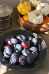 Fresh blue plums in black plate and mini pumpkins