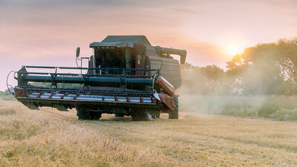 Working Harvesting Combine in the Field of Wheat. Setting sun rays on horizon in rural meadow. Rich harvest.