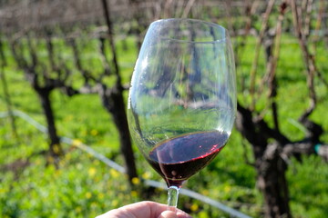 Copa de vino en viñedos