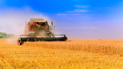 Naklejka premium Working Harvesting Combine in the Field of Wheat. Rich harvest.