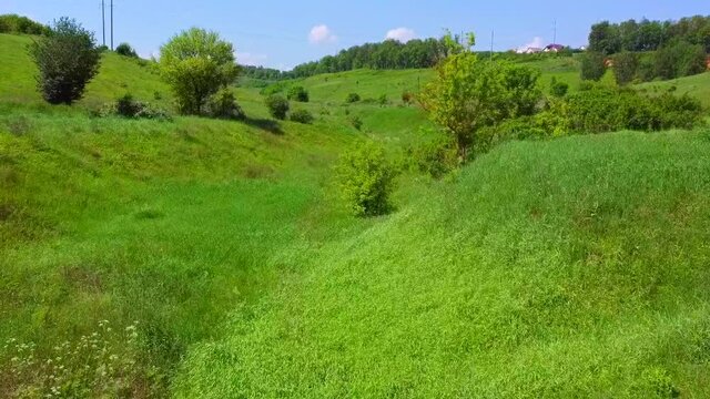 Aerial photography over green grass among the hills. The drone flies past the trees. The quadcopter takes pictures of nature. Summer sunny day and blue sky with white clouds. 
