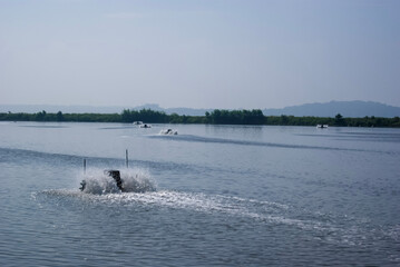 Obraz premium The view of a fish farm under the blue sky in the West Sea of Korea
