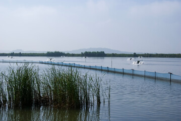 The view of a fish farm under the blue sky in the West Sea of Korea