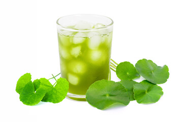 Gotu kola herbal tea on white. Centella asiatica leaf.