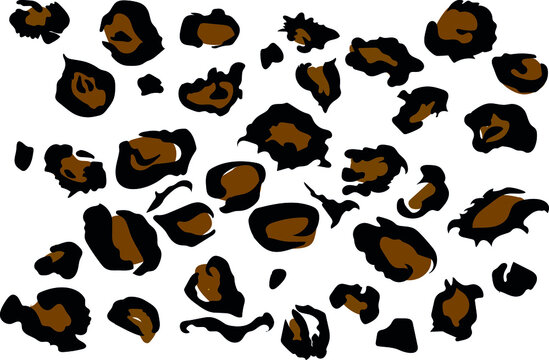 leopard spots. brown and black are the colors of lepard.