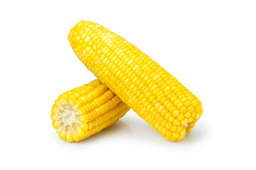 corn isolated on white