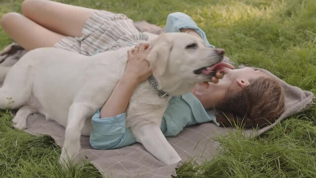 Full shot of blue-eyed Caucasian woman lying on blanket on top of green lawn, petting her dog that licking her face