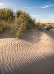 Türaufkleber Nordsee, Niederlande Die niederländischen Watteninseln haben viele verlassene Sanddünen unter blauem Sommerhimmel in den Niederlanden
