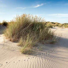 Gordijnen nederlandse waddeneilanden hebben veel verlaten zandduinen uinder blauwe zomerhemel in nederland © ahavelaar
