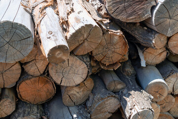 The sawn logs lie in a pile in the sun