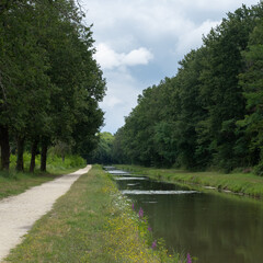 Fototapeta na wymiar Old canal and trees at La motte Beuvron, Val de Loire