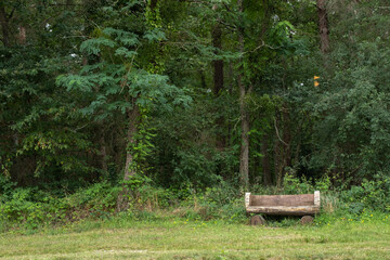 Bench in the middle of trees