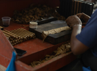 Cigar being made