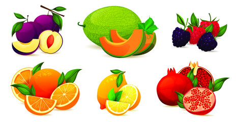 Collection of summer vitamin products. Set of combining fresh fruits, whole and sliced. Plum, melon, raspberry, blackberry, orange, lemon, pomegranate collection. Vegetarian or diet food.
