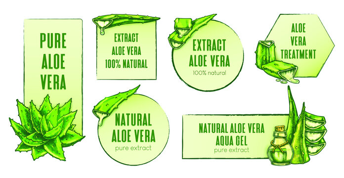 Hand drawn aloe vera labels. Vintage frames with aloe plant elements for beauty or medical products. Natural extract, component or igredient. Organic aloe gel, oil or juce for skincare or tretment.