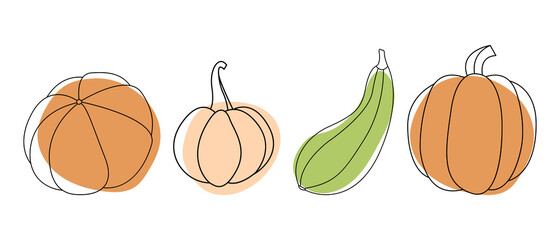 Pumpkin. Autumn vegetable. For fall decorative design, thanksgiving and halloween invitation, harvest flyer, textile. Vector flat cartoon illustration