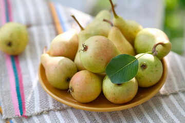 Yellow nrushi in a yellow plate. Still life of ripe pears. Fruit in a bowl