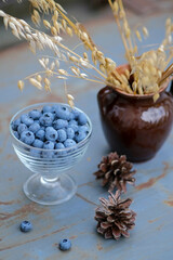 Still life of blueberries in a bowl and vase with spikelets of oats. Composition of seasonal vitamins.