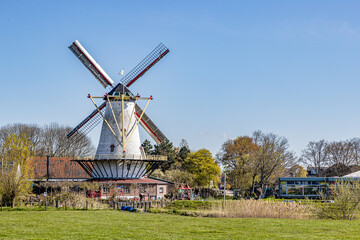 Fototapeta na wymiar Farm with green grass with a Dutch windmill with its blades with red lines with trees in the background, sunny day with clear blue sky in Schouwen-Duiveland, Zeeland, Netherlands